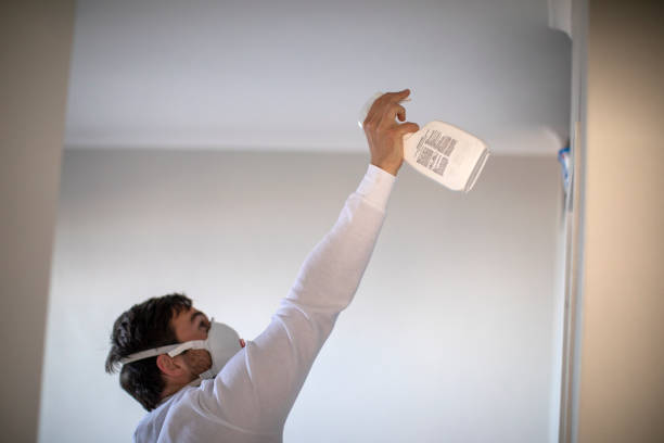 Evansville, WY Mold Removal Company