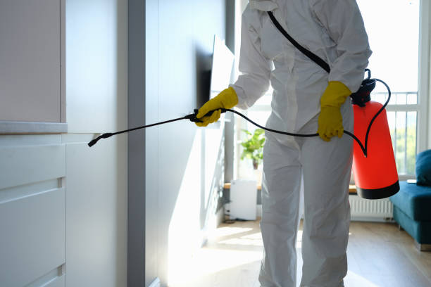Best Emergency Mold Removal  in Evansville, WY