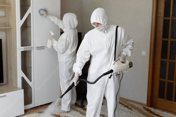 Best Same-Day Mold Removal  in Evansville, WY