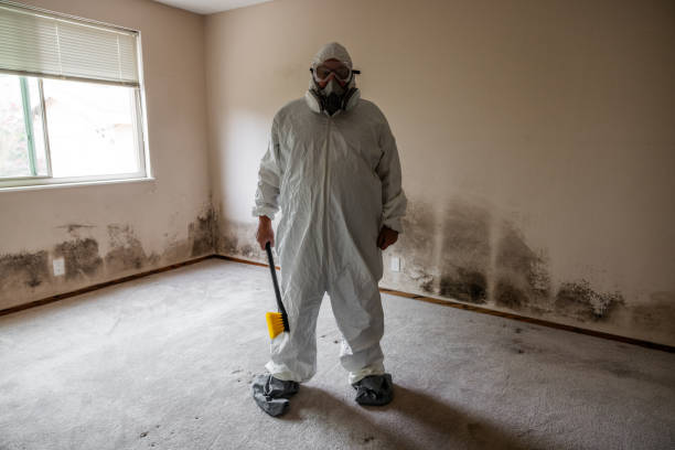 Best Mold Remediation  in Evansville, WY